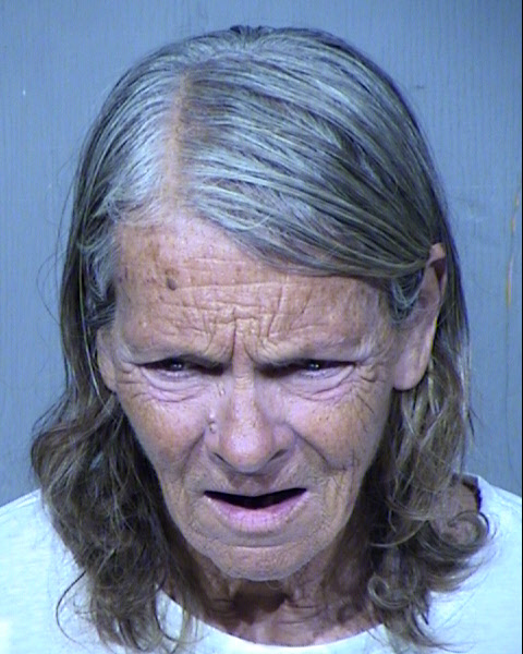 KATHLEEN LONG NORRIS Mugshot / Maricopa County Arrests / Maricopa County Arizona