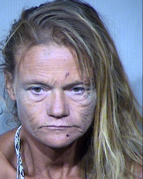 VICKIE LYN CASTRO Mugshot / Maricopa County Arrests / Maricopa County Arizona