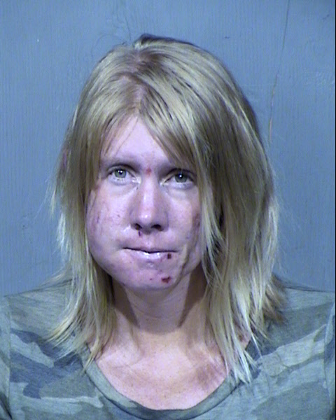 BRANDI LEIGH WISE Mugshot / Maricopa County Arrests / Maricopa County Arizona