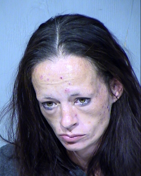 AMANDA NICOLE SINGLETARY Mugshot / Maricopa County Arrests / Maricopa County Arizona