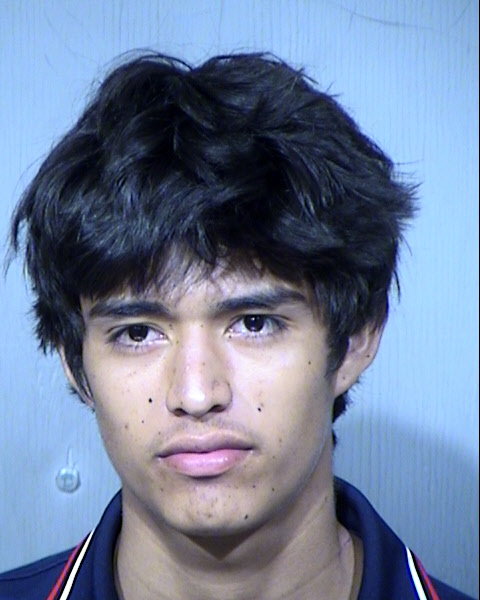 RAMON JESUS MEDINA TORRES Mugshot / Maricopa County Arrests / Maricopa County Arizona