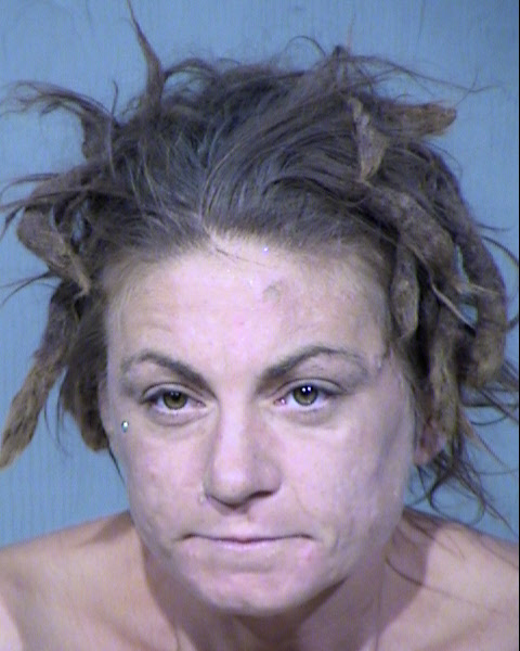 SARAH BROOK CHANCE Mugshot / Maricopa County Arrests / Maricopa County Arizona