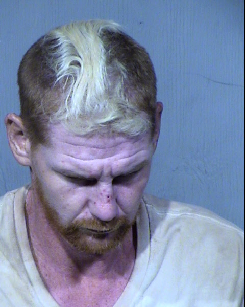 HARLAN A TAGGE Mugshot / Maricopa County Arrests / Maricopa County Arizona