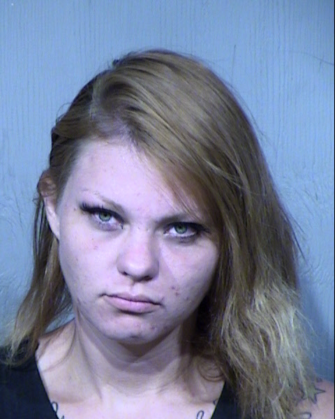AMANDA S HIRSCH Mugshot / Maricopa County Arrests / Maricopa County Arizona