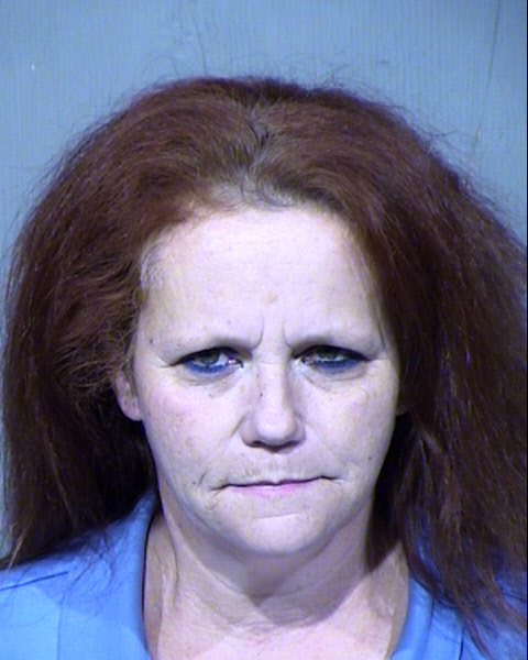 CONNIE SUE ANDERSON Mugshot / Maricopa County Arrests / Maricopa County Arizona