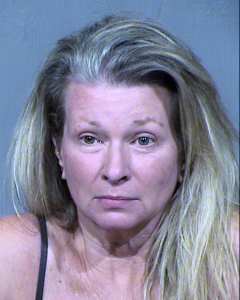 DIANE SCHWEITZER Mugshot / Maricopa County Arrests / Maricopa County Arizona