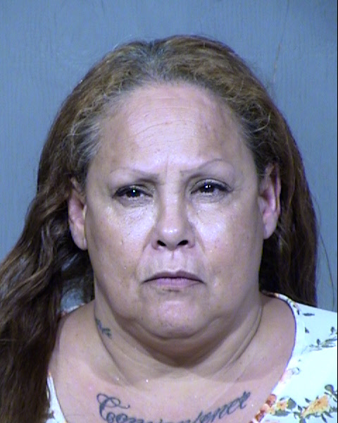 SUSAN M LOVETT Mugshot / Maricopa County Arrests / Maricopa County Arizona