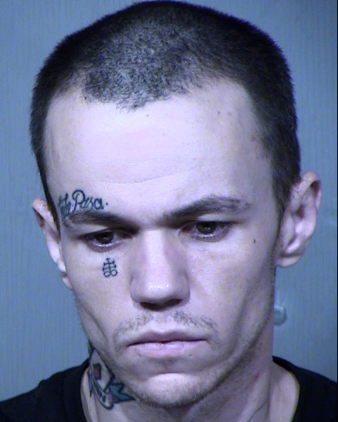 PATRICK GREGORY HITCHINS Mugshot / Maricopa County Arrests / Maricopa County Arizona