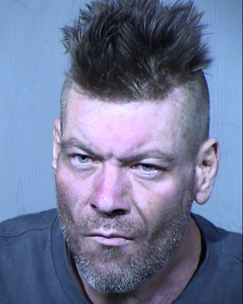 DONALD E SHAIN Mugshot / Maricopa County Arrests / Maricopa County Arizona