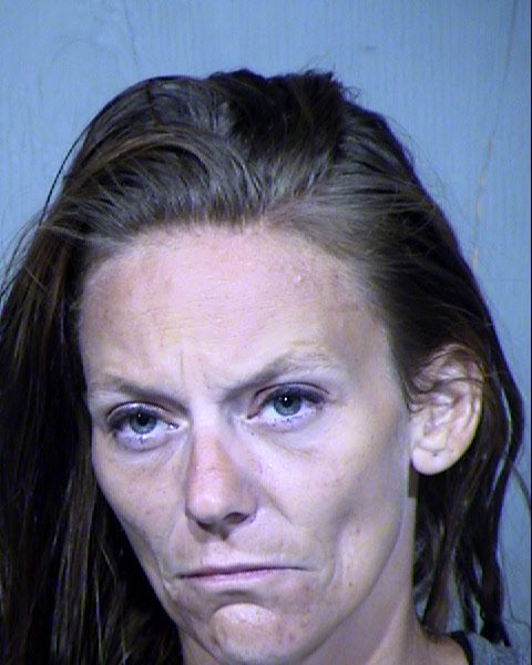 ALEXIS RYAN FENSKE Mugshot / Maricopa County Arrests / Maricopa County Arizona