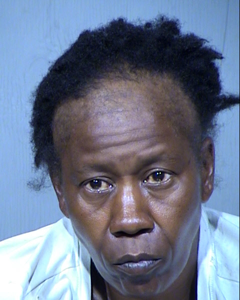 BELINDA TROTTER Mugshot / Maricopa County Arrests / Maricopa County Arizona