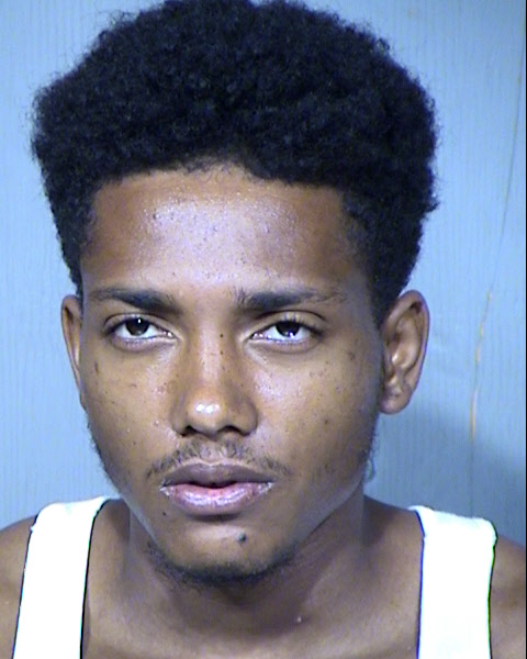 DEWAYNE ELLIS Mugshot / Maricopa County Arrests / Maricopa County Arizona