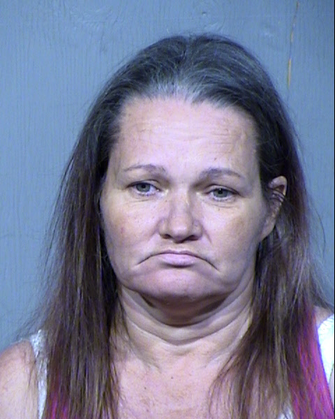 TINA MARIE CAMP Mugshot / Maricopa County Arrests / Maricopa County Arizona