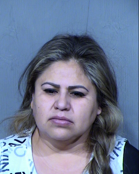 VIRIDIANA GUADALUPE SALINAS-JACOBO Mugshot / Maricopa County Arrests / Maricopa County Arizona