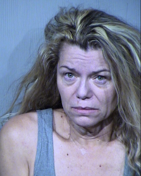 HOLLY JO HARRIS Mugshot / Maricopa County Arrests / Maricopa County Arizona
