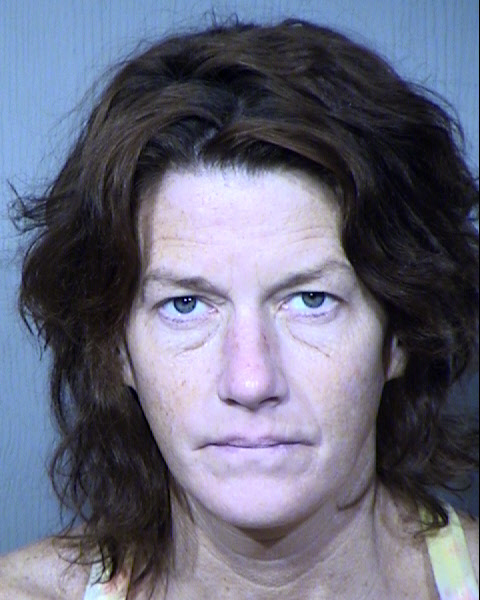 KESHA LYNN RANDALL Mugshot / Maricopa County Arrests / Maricopa County Arizona