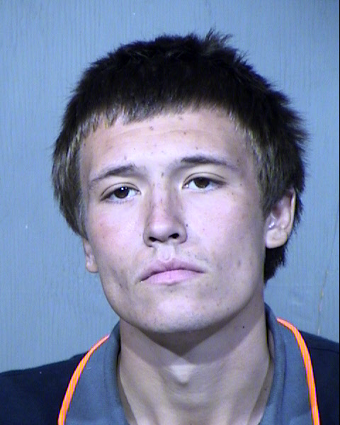 DAMON ALIEN TARDIF Mugshot / Maricopa County Arrests / Maricopa County Arizona