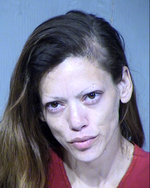MARIA INES ONTIVEROS Mugshot / Maricopa County Arrests / Maricopa County Arizona