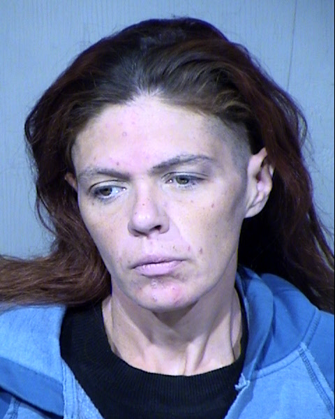 DANIELLE RAYANN GLAZEBROOK Mugshot / Maricopa County Arrests / Maricopa County Arizona