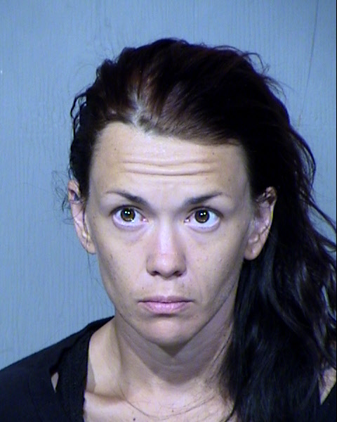 LINDSAY DAWN SANDERS Mugshot / Maricopa County Arrests / Maricopa County Arizona