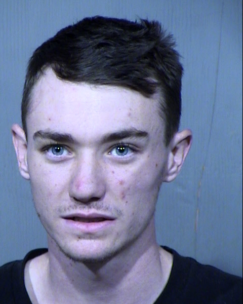 DAKOTA LEE RYAN Mugshot / Maricopa County Arrests / Maricopa County Arizona