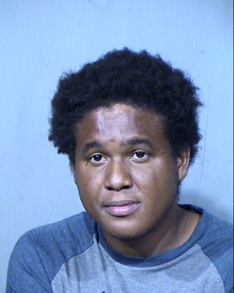 DETRELE LAMARC NELSON Mugshot / Maricopa County Arrests / Maricopa County Arizona