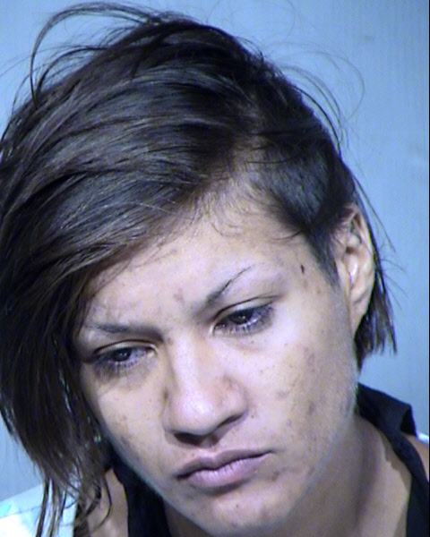 NOELLE TYBOR Mugshot / Maricopa County Arrests / Maricopa County Arizona