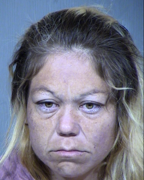 NICOLE R RAMIREZ Mugshot / Maricopa County Arrests / Maricopa County Arizona