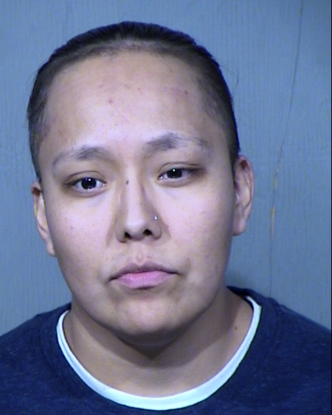 TELISHA SAMANTHA JOE Mugshot / Maricopa County Arrests / Maricopa County Arizona