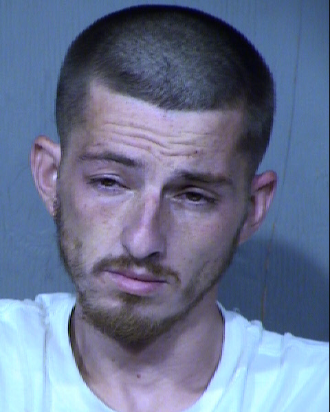 VLADIMIR MELNITCHUK Mugshot / Maricopa County Arrests / Maricopa County Arizona