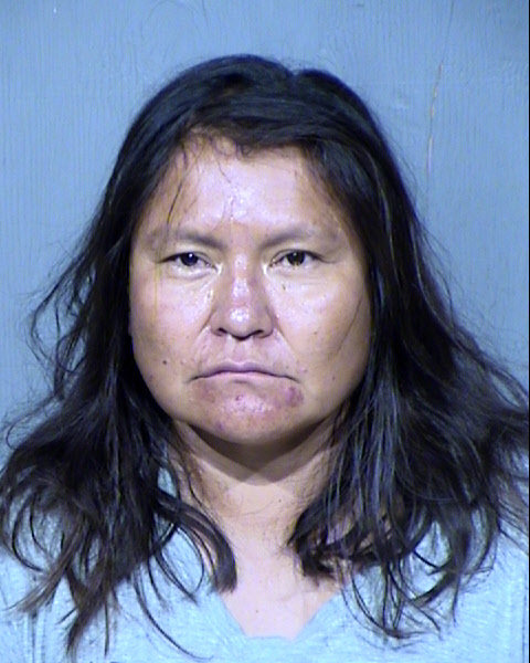 HENRIETTA LEE Mugshot / Maricopa County Arrests / Maricopa County Arizona