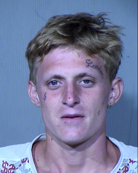 TRISTYN ROY VICKERS Mugshot / Maricopa County Arrests / Maricopa County Arizona