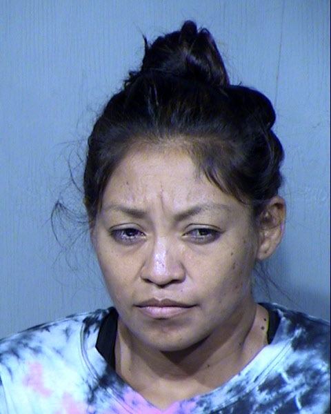 YMELDA ROSE HOLMES Mugshot / Maricopa County Arrests / Maricopa County Arizona