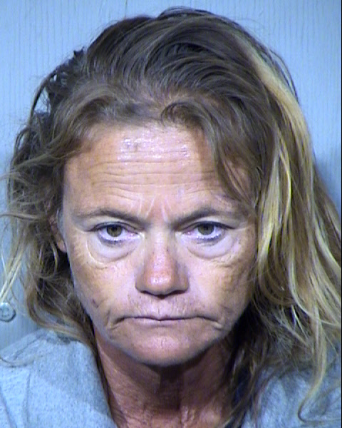 VICKIE LYN CASTRO Mugshot / Maricopa County Arrests / Maricopa County Arizona