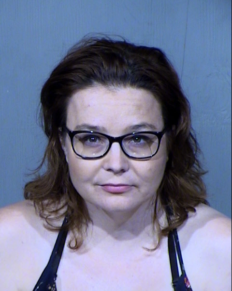 ELIZABETH MARY PREACH Mugshot / Maricopa County Arrests / Maricopa County Arizona