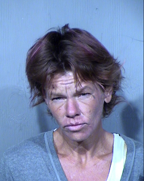MARY E KELLOGG Mugshot / Maricopa County Arrests / Maricopa County Arizona