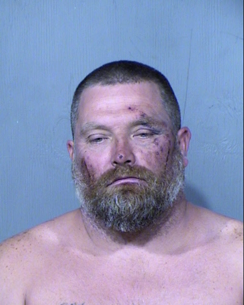 DAVID ACTON Mugshot / Maricopa County Arrests / Maricopa County Arizona