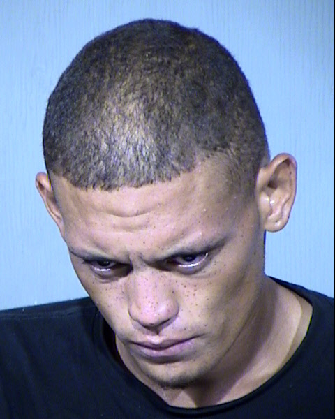 SHANE MICHAEL NEPPLE Mugshot / Maricopa County Arrests / Maricopa County Arizona