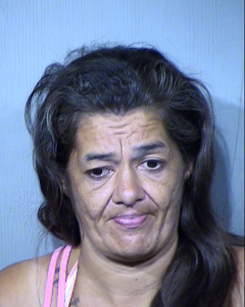 RENA CATHERINE ARRIAZA Mugshot / Maricopa County Arrests / Maricopa County Arizona