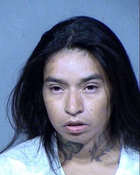 DANA MARIE ROMERO Mugshot / Maricopa County Arrests / Maricopa County Arizona