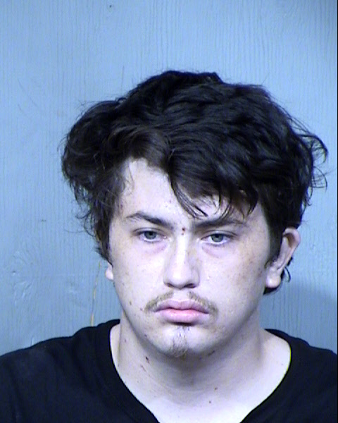 LOGAN BROCK HOLLINGS Mugshot / Maricopa County Arrests / Maricopa County Arizona