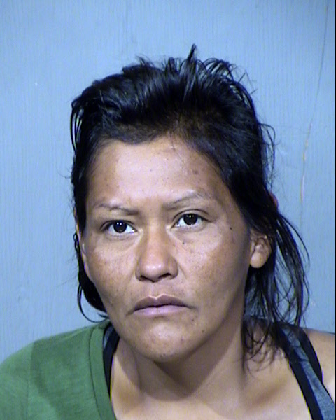 HARRIETT ANN PESHLAKAI Mugshot / Maricopa County Arrests / Maricopa County Arizona