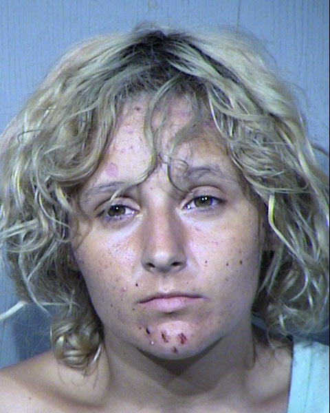 MISHELLE CATRYANA LYNLOVE Mugshot / Maricopa County Arrests / Maricopa County Arizona