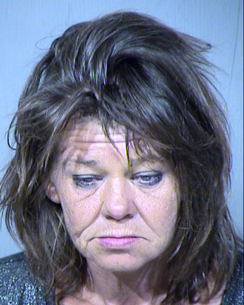 LAINA ANN LANDERS Mugshot / Maricopa County Arrests / Maricopa County Arizona