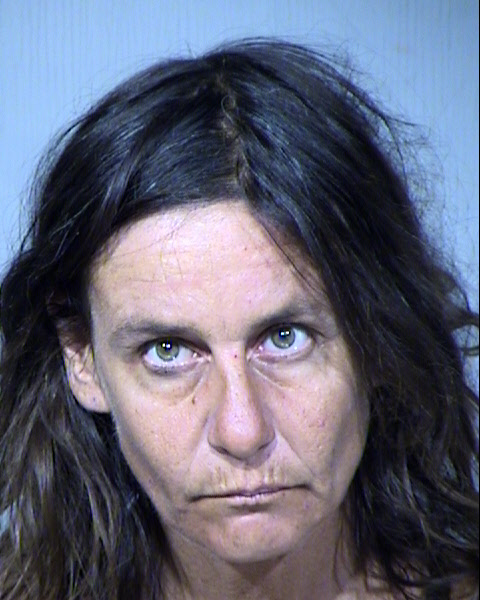 LEEANNE MARLA RICHARDSON Mugshot / Maricopa County Arrests / Maricopa County Arizona