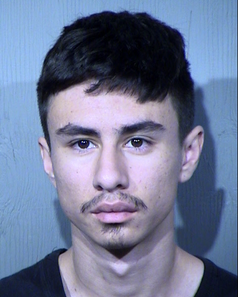 MASON ANDREW HARMON Mugshot / Maricopa County Arrests / Maricopa County Arizona