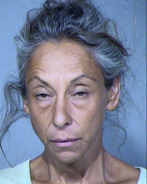 ELENA M BRIONES Mugshot / Maricopa County Arrests / Maricopa County Arizona