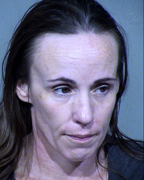 ALISON LEE Mugshot / Maricopa County Arrests / Maricopa County Arizona