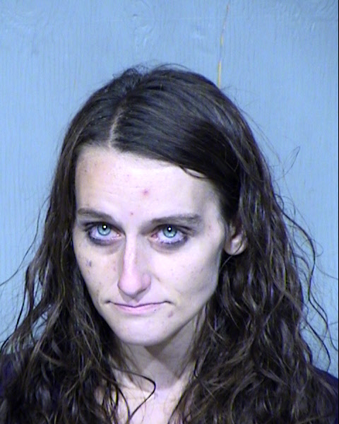 CHRISTINE M GRENZ Mugshot / Maricopa County Arrests / Maricopa County Arizona