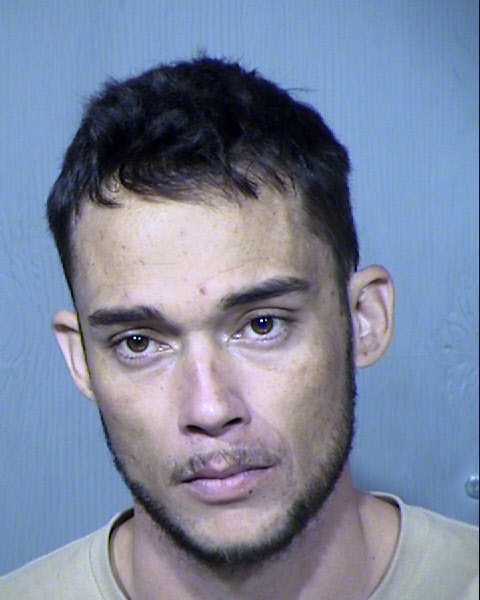 IAN JONATHAN EREKSON Mugshot / Maricopa County Arrests / Maricopa County Arizona